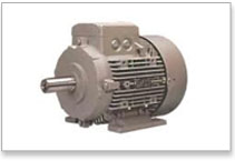 Siemens Electrical Motors - TEFC